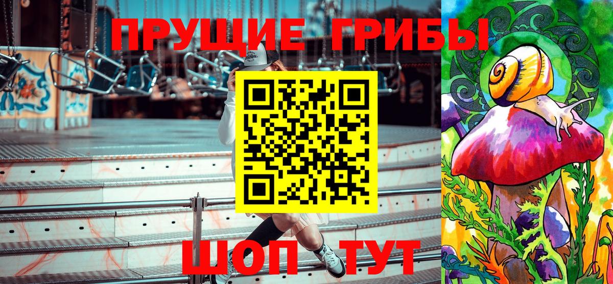 Галлюциногенные грибы прущие грибы  Вход с VPN  Галлюциногенные грибы Psilocybine cubensis  Дмитров 